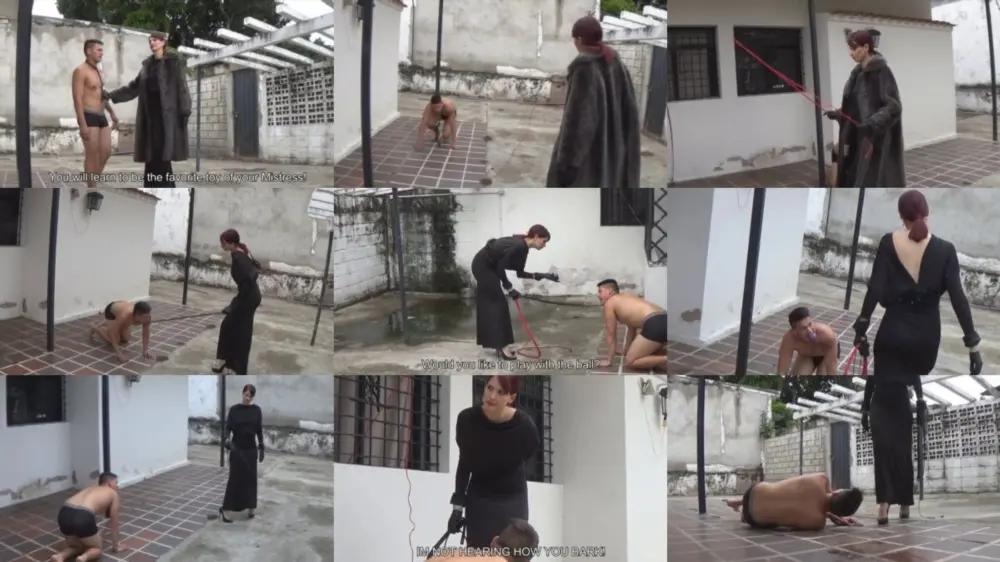 Latin Beauties In High Heels — Doggie Training 101 — Goddess Joanna [HD 1280p]