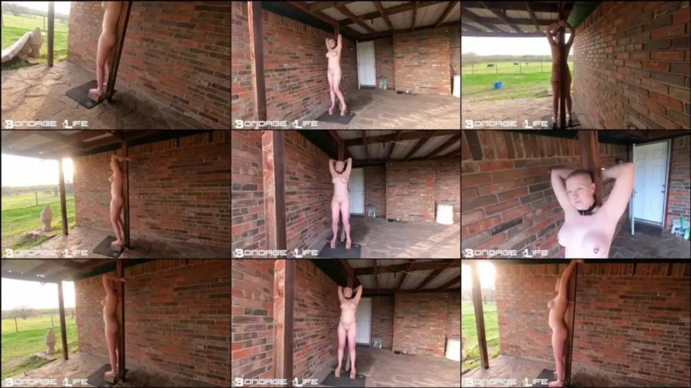 Bondage Life — Watching the Grass Grow — Rachel Greyhound — 4/1/2025 [HD 720p]