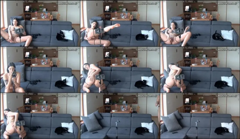 Reallifecam — Guers Girl Make Video Content And Have Hot Dildo Pussy Bate On Sofa 29.06.2025 [SD 644p]