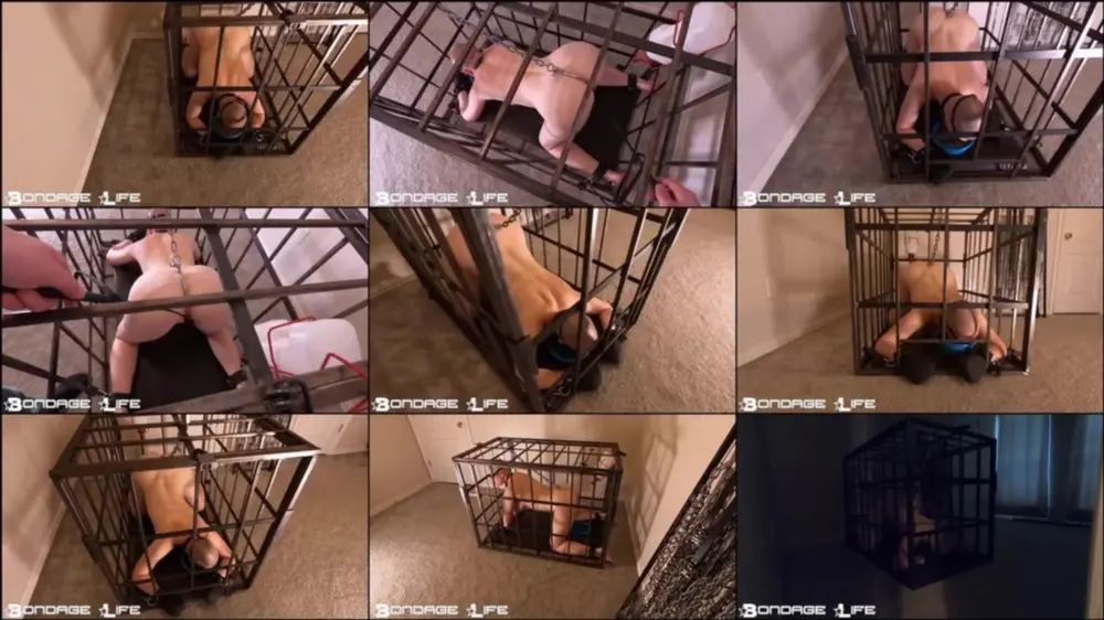 Bondage Life — Puppy Chow — Rachel Greyhound — 2/23/2025 [HD 720p]