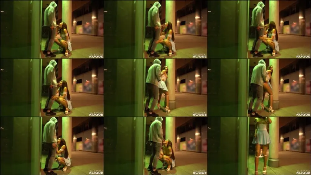 Shaiden Rogue — Party Chick Cheats on her Boyfriend — Risky Doggy Fuck in Public — Shaiden Rogue [FullHD 1080p]