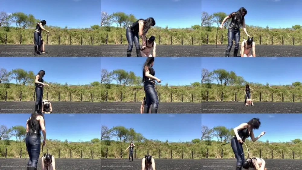 Mistress Black 69 — What A Good Puppy [HD 1280p]