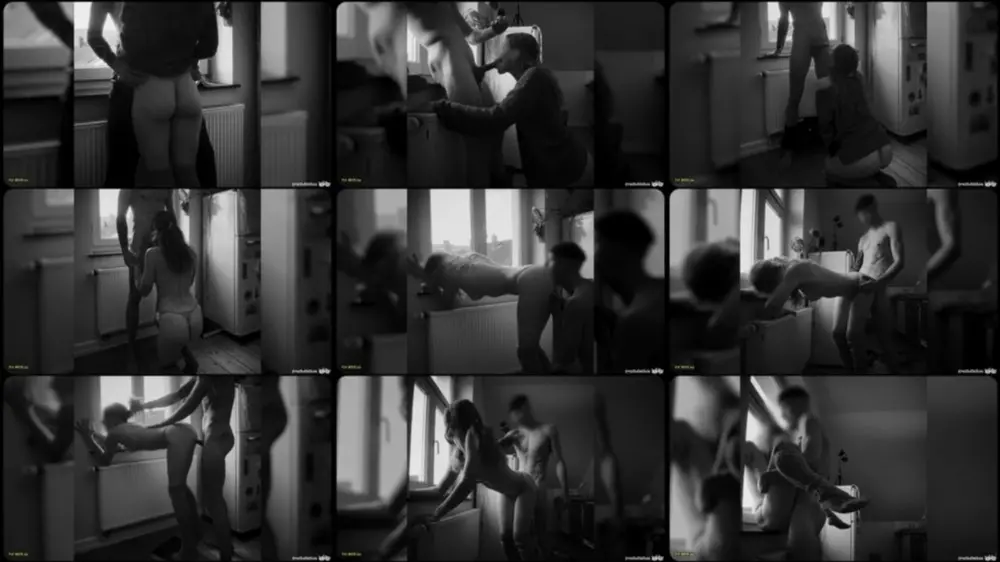 MyDirtyHobby — frechdachse — Wir ficken im Fenster [FullHD 1080p]