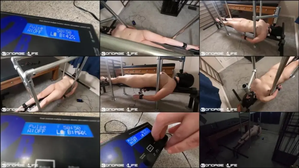 Electric Rig — Rachel Greyhound — 4/1/2025 [HD 720p]