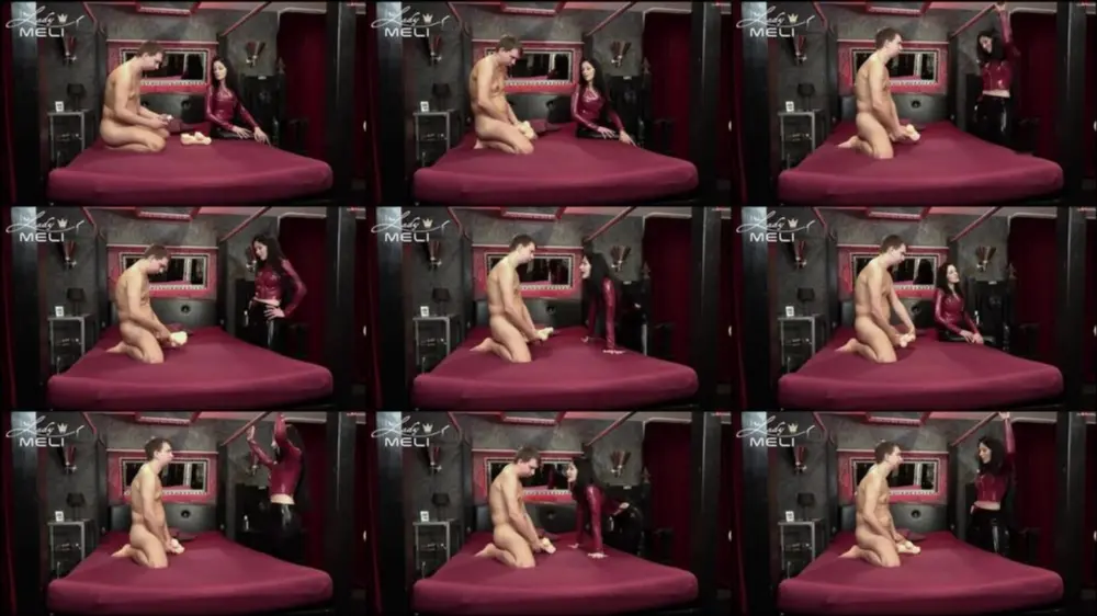 MyDirtyHobby — Lady-Meli — Deine neue Fotze — Fick sie durch [HD 720p]