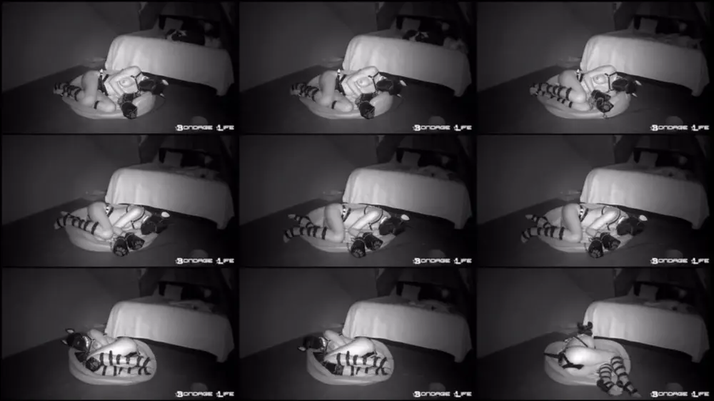 Goodnight Greyhound (Sleepy Puppy Edition) 7/30/2020 [SD 448p]