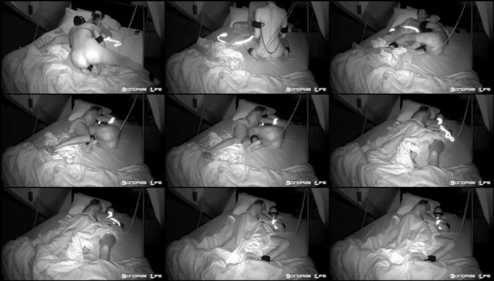 Bondage Life — Goodnight Greyhound (Damon Edition) [SD 448p]