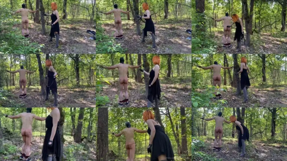 Lady Dark Fairy — I found this poor guy in between trees and I just made his day better [FullHD 1920p]