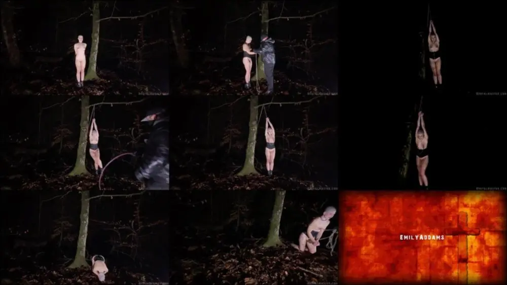Brutalmaster — EmilyAddams — Into The Woods [FullHD 1080p]