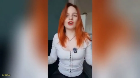 Ice Foxy – Hallo ich bin Ice Foxy – Dein freundlicher Fuchs aus der Na