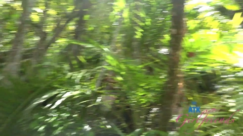 Lana Gee – Sarasota 2: POV Real al Aire Libre